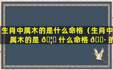 生肖中属木的是什么命格（生肖中属木的是 🦄 什么命格 🌷 的人）